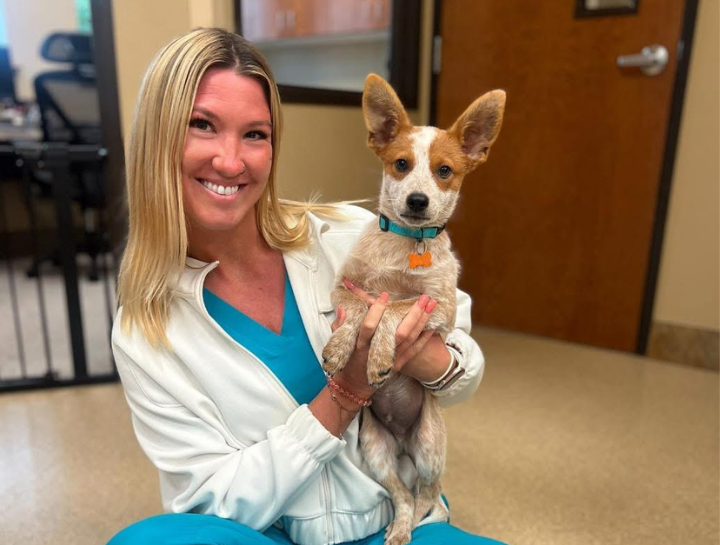 Frisco West Animal Medical Center Forms