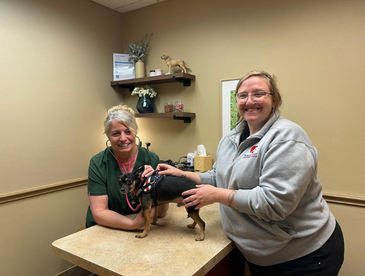 $city Vet Exams